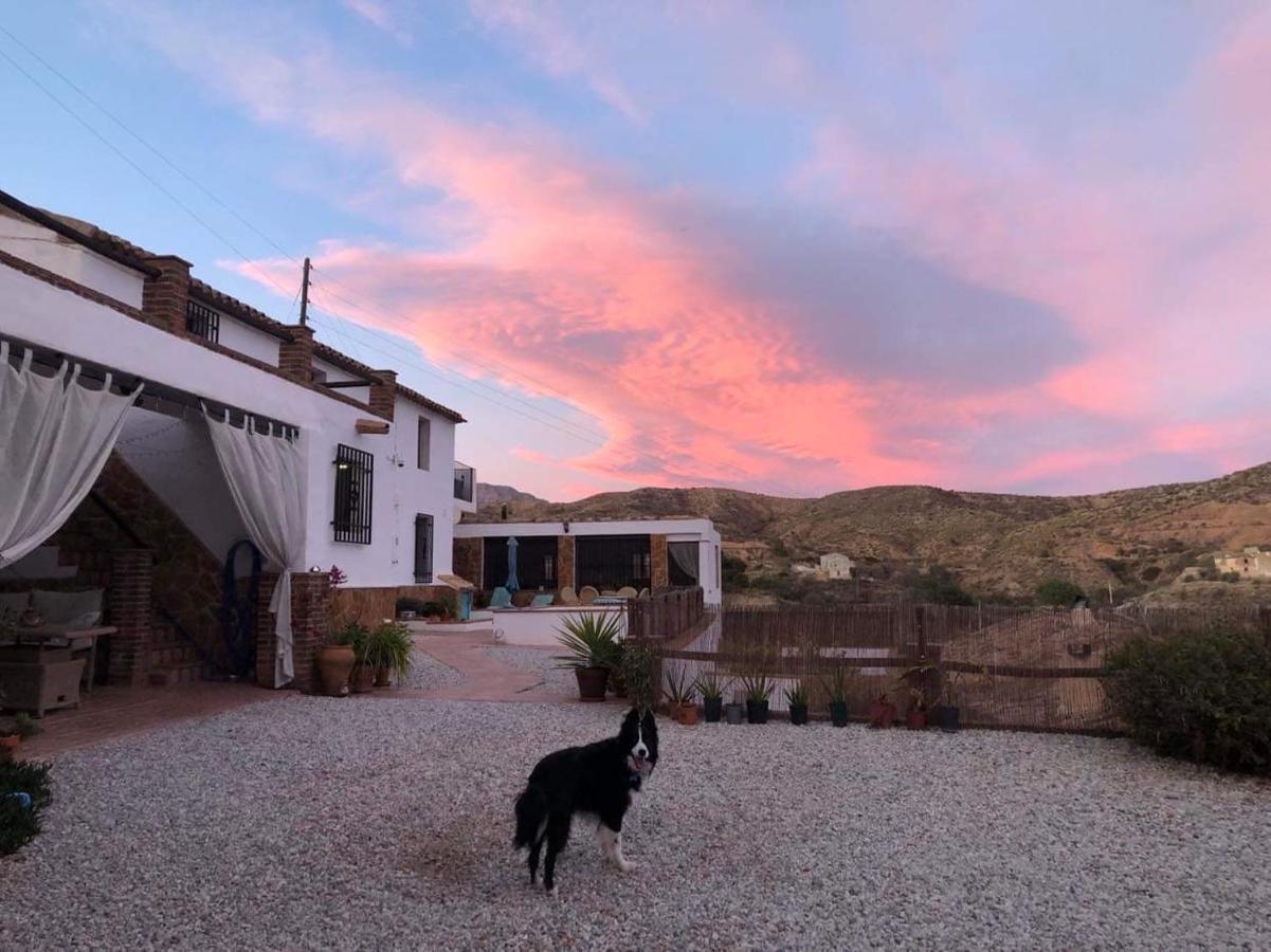 Ferienwohnung Cortijo Perejil, A Tranquil Mountain Escape & Private Pool Oria Exterior foto